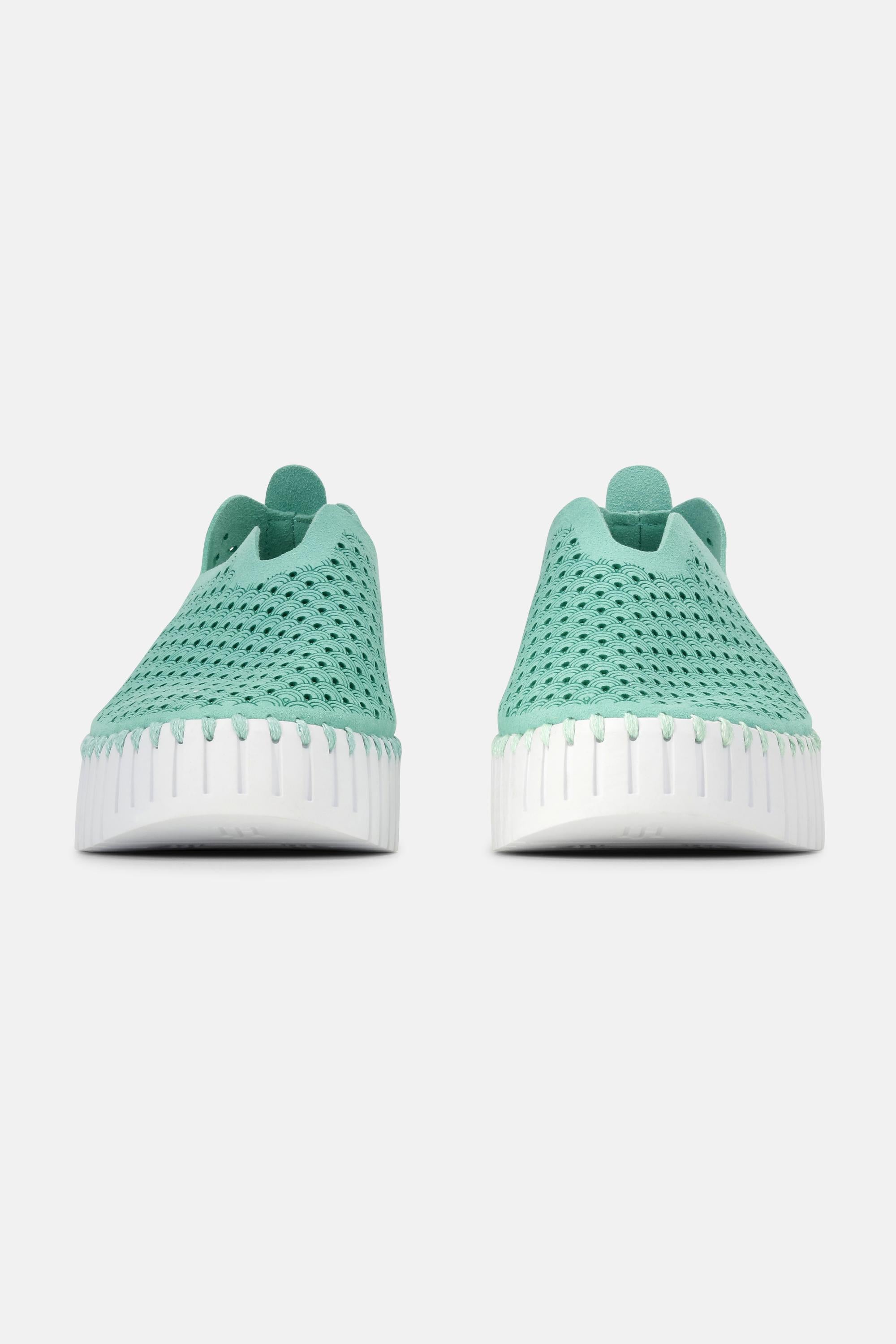 Platform Tulip Flats - Algae